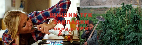 спайс Лабытнанги
