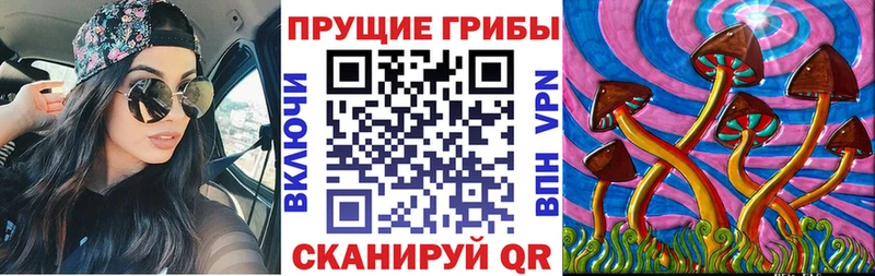 Купить закладки  Лермонтов  Псилоцибиновые грибы Psilocybe 